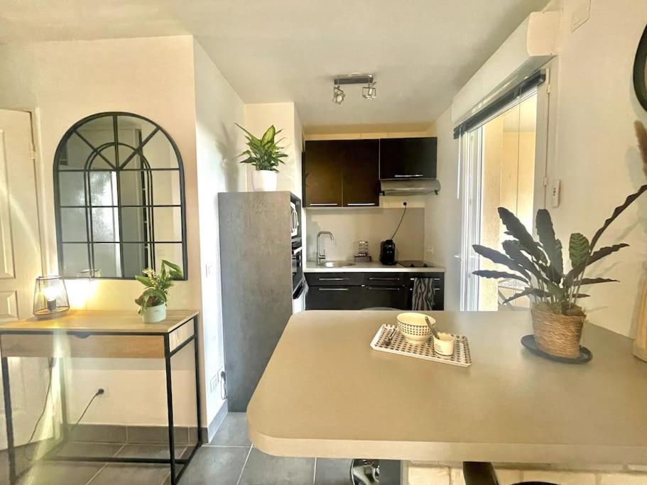 Grand Studio Avec Coin Nuit, Proche Mer Et Montagnes Roquebrune-sur Argens Ngoại thất bức ảnh